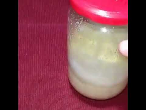 ازاى تعرفى خميرة اللبن ناجحة ولا لا Shorts
