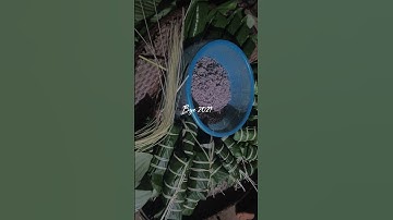 món ăn của người bru -vân kiều Hướng Hóa