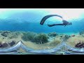 360° VR Underwater Experience Join the Fish |Spearfishing Life 🇬🇷 [5K]✅