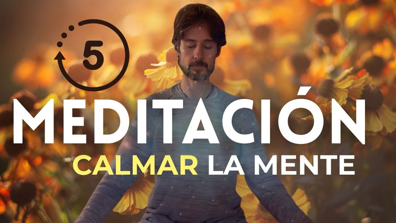 🍁MEDITACIÓN guiada Reducir el Estrés y CALMAR la Mente - YouTube