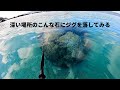 巨大珊瑚のあるビーチ沖の水深50メートル付近に何か居るようです