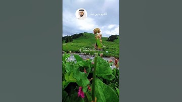 الشيخ فارس عباد  #اكسبلور #قرآن #explore #قران_راحة_نفسية #لايك #سورة_إبراهيم  #قران_كريم
