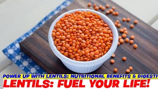 Power Up with Lentils: Nutritional Benefits & Digestive Support