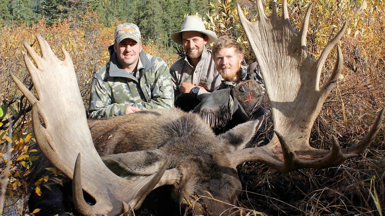 moose hunting YouTube