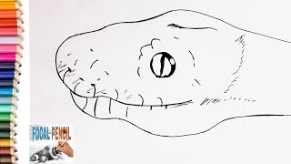 Learn How To Draw Anaconda Head Step by step