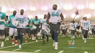 Observations From Day 1 Of Dolphins Training Camp