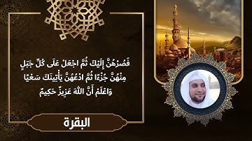 ليلة 3 رمضان الجزء 1 .. القارئ محمد عادل شرارة