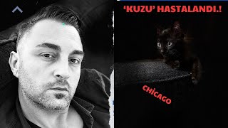 'KUZU' Hastalandi.Kedimiz Bir Sabah Aniden Hastalandi.BirGün'de Ne oldu?#chicago #mysoul #mycat