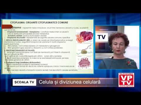 ȘCOALA TV - Biologie - Celula și diviziunea celulară