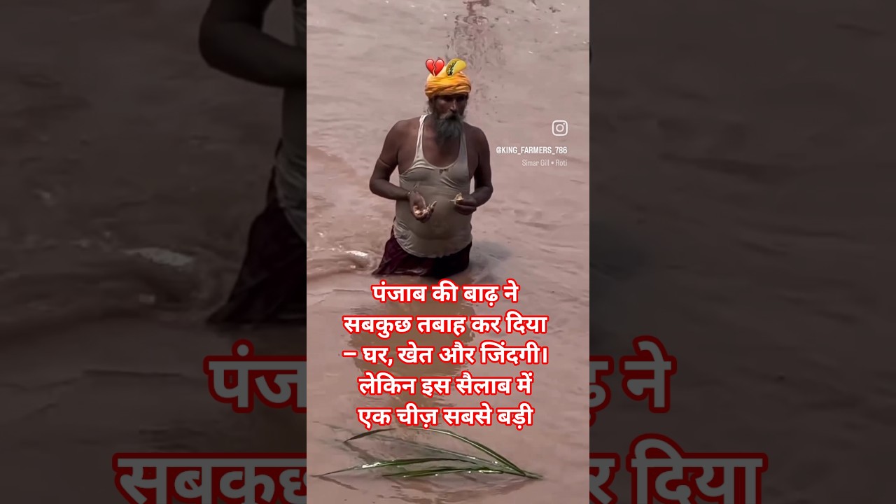 पंजाब की बाढ़ ने सबकुछ तबाह कर दिया 