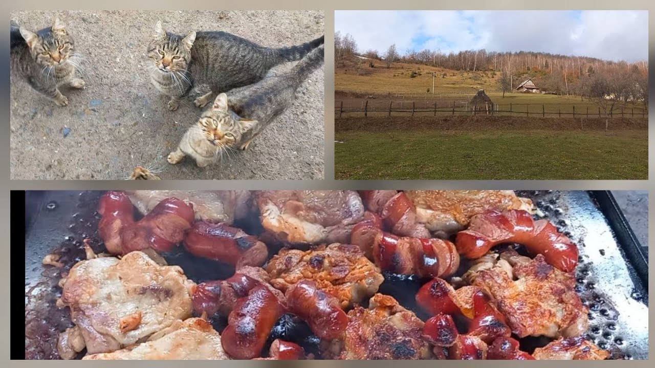 ŠETNJA SELOM : PRELIJEPA BAŠTA I ROŠTILJ SA PORODICOM 