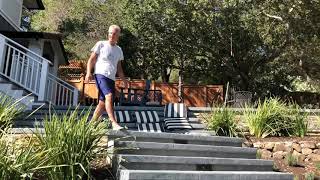 BACKYARD BRAWL:THAT PUNK ALEX