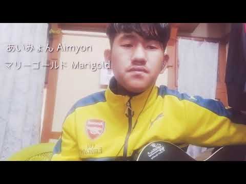 あいみょんAimyon-マリーゴールドMarigold 歌ってみた