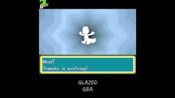 Treecko evolve into Grovyle #POKEMON Shiny gold sigma