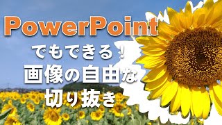 パワーポイントで画像を自由な形に簡単に切り抜く方法 Sawacom Net