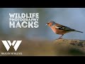 Wildlife photography hacks