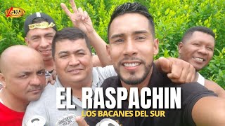 Los Bacanes del Sur - El Raspachin (Video Oficial)