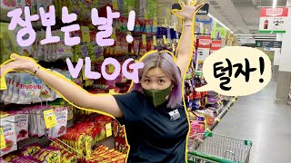 [🇦🇺vlog] 마트 가서 장보고 집 와서 밥 만들어 먹는 건전하고 알찬 영상