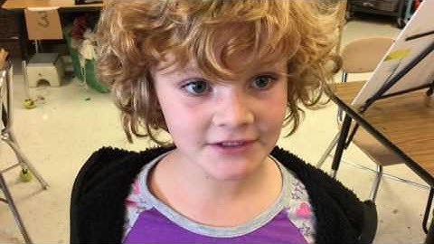 Let Me Choose What to Make - T.A.B. (Teaching for Artistic Behavior)