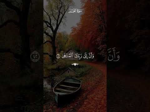 ١٩ يوليو ٢٠٢٦