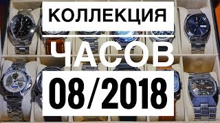 Моя коллекция часов на август 2018.