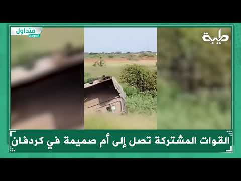 القوات المشتركة تصل إلى أم صميمة في كردفان  القوات المشتركة تصل إلى أم صميمة في كردفان