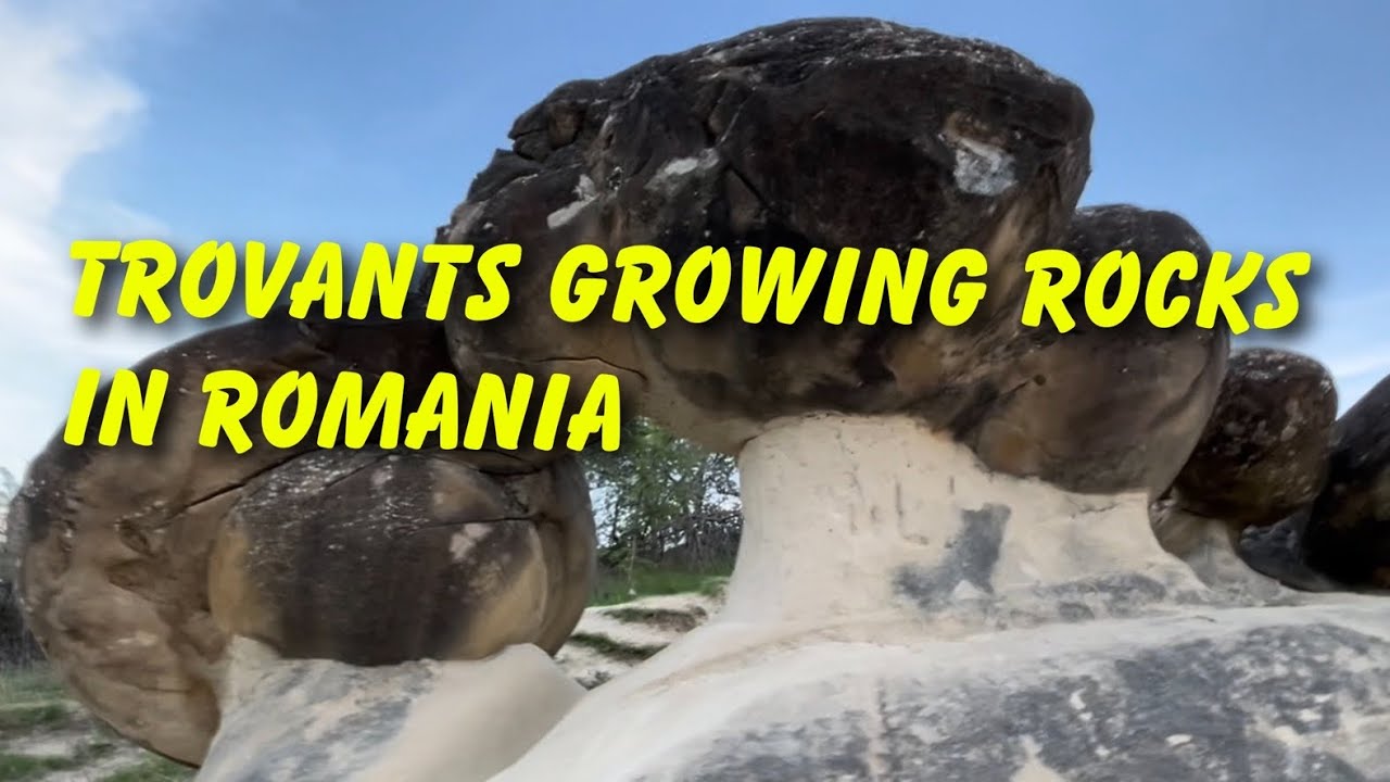 Romania Growing Rocks Growing Rocks or Living Rocks Mystery Trovanti from Buzau Romania - YouTube