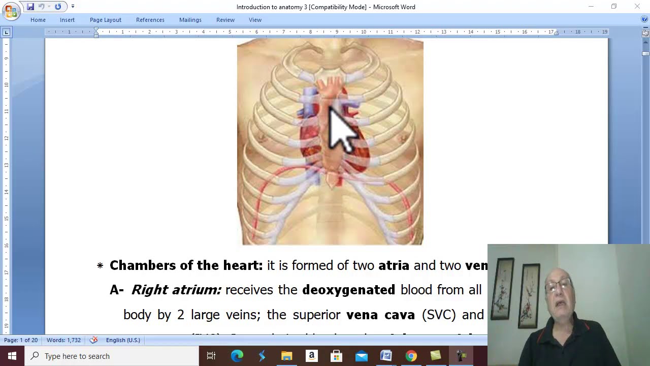 Anatomy introduction in Arabic 16 ( CVS , part 1 ), by Dr. Wahdan