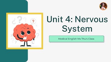 UNIT 4: NERVOUS SYSTEM