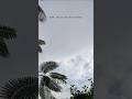The air felt like freedom.🤍🕊️ #Shorts #YouTubeShorts #viral #Trending #YTShorts #ShortsFeed