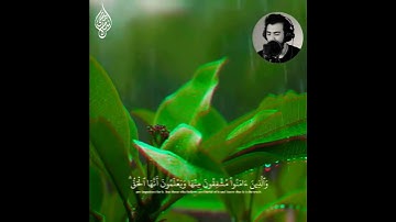 اللَّهُ الَّذِي أَنْزَلَ الْكِتَابَ بِالْحَقِّ وَالْمِيزَانَ  - القارئ اسلام صبحي 🌿💚