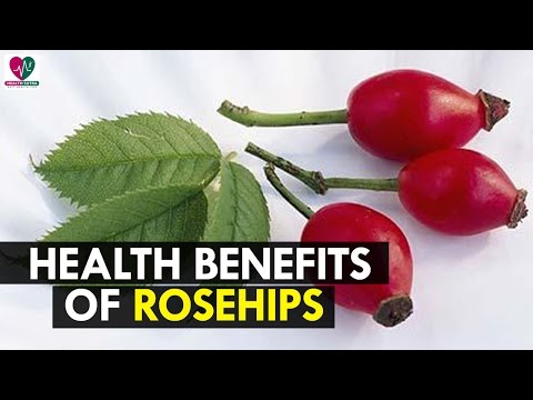 What Are the Health Benefits of Vitamin C With Rosehips ? - Health Sitra