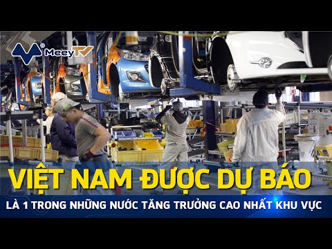 Video VIỆT NAM ĐƯỢC DỰ BÁO LÀ 1 TRONG NHỮNG NƯỚC TĂNG TRƯỞNG... - youtube
