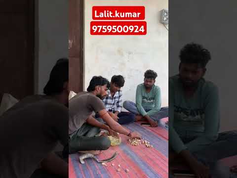 Pathĺi Ki Dawa Muft Di Jati He