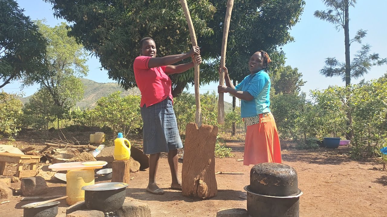 Village life Africa 🌍 grinding dry maize 🌽 and cooking flavorful traditional food 