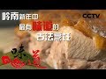 《味道》 20160209 寻找记忆中的年味（二）岭南新年中最有味道的古法烹饪 | CCTV美食