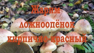 видео: Жарим Ложноопёнок кирпично-красный. Дегустация. картинка: Жарим Ложноопёнок кирпично-красный. Дегустация.