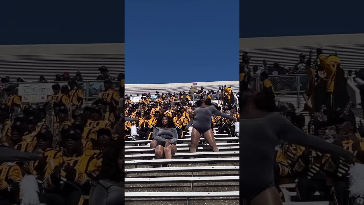 Alabama State Honeybeez 