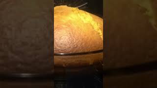 DELICIOUS BUTTERY HOMEMADE CORNBREAD! #shorts #foodlover #foodie #food #asmr