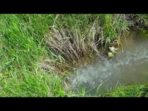 იყიდება ხეხილის ბაღი.1ჰა მიწის ნაკვეთი(საკადასტრო კოდი: 66.47.13.030 - 66.47.13.029) სოფელ ქიწნისში