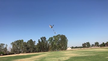 Morning flight with the Protos max V2L