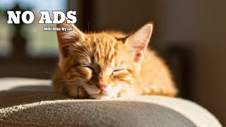 6 HOURS | Subtle Calm - Sleep Music for Cats