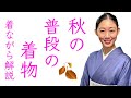 肌寒くなる季節【秋の普段の着物コーディネート】着ながら解説、着物生活