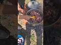 اليوم دينا ليو خو سيزار وسيزار يتسراو وسيبنا الغدا فالطبيعة يسلام المغرب شورت مصر مضحك 