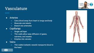 MCAT Biology The Cardiovascular System - Topic 4/4: Vasculature and Blood
