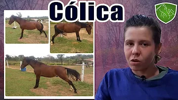 Qual o melhor tipo de sifão para pia de cozinha?