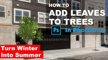 How To Add Leaves To Trees In Photoshop