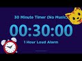 30 minute timer countdown no music  1 hour loud alarm