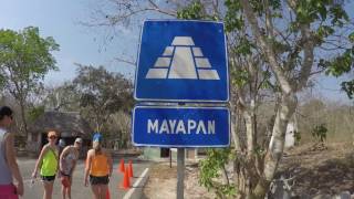 Mayan Ruins Excursion - Mayapan - Yucatan, Mexico