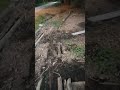 Un vistazo al pozo que nos tuvo dos días atrapada